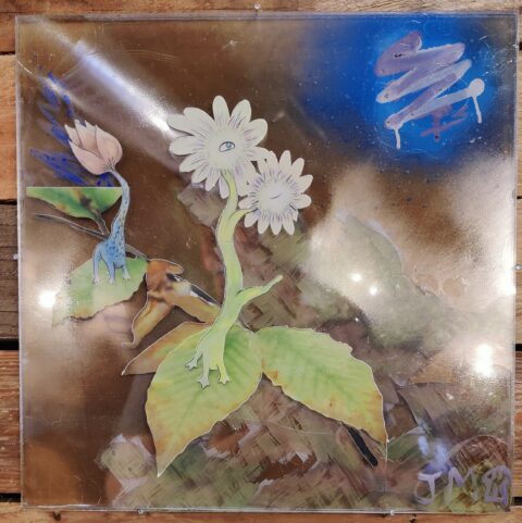 Morning Reach: Pressed and Cracked Slides Ed.
