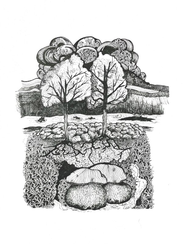 Biodiversity