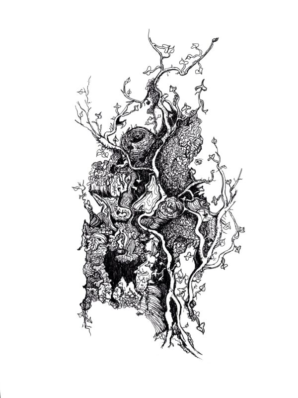 The Growth of Ivy