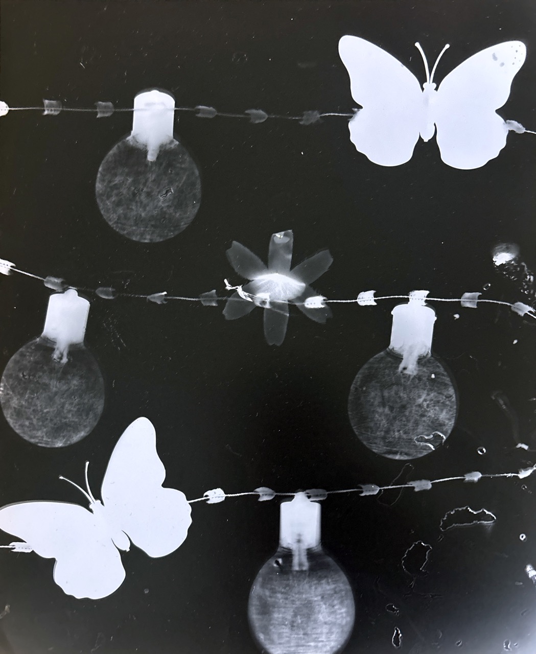 Butterfly Lights