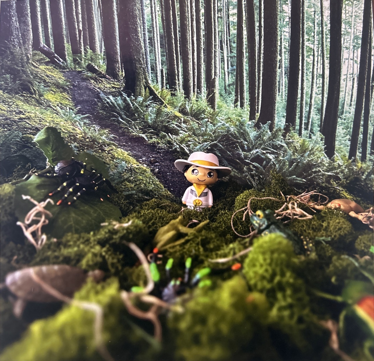 Man in the Woods