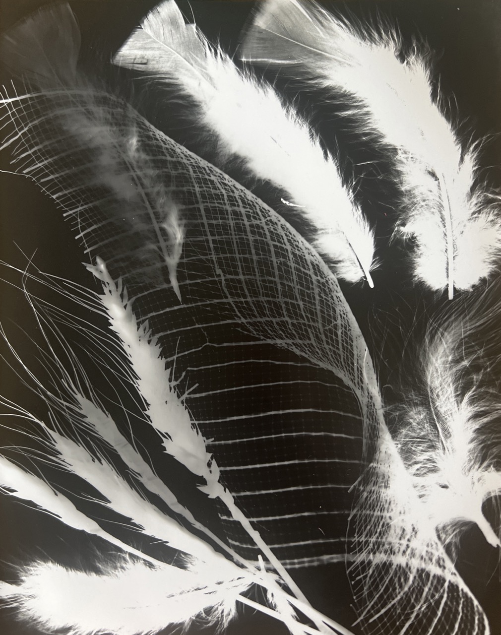 Feathers