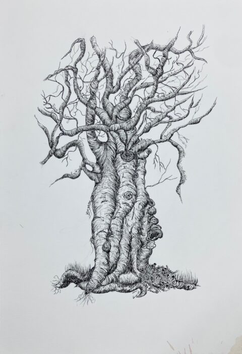 Indulating Limbs