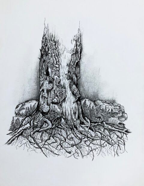 Intricacies