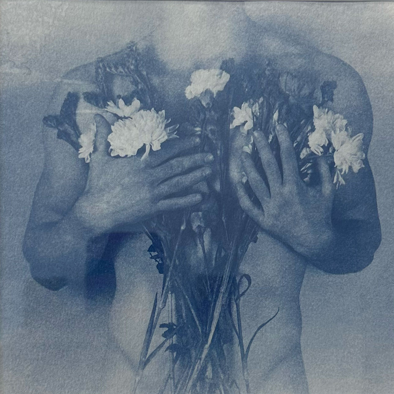 Male Botanical Study 2