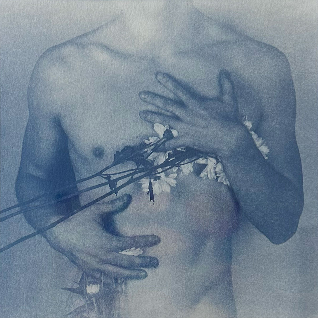 Male Botanical Study 4