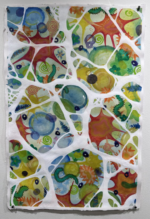 Amoeba