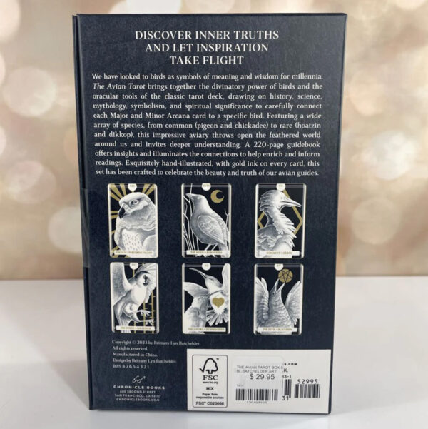 The Avian Tarot - 78 Cards and Guidebook - Image 2