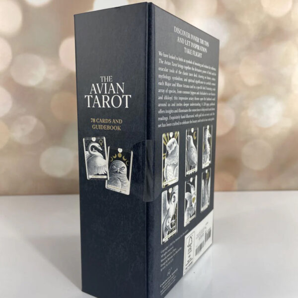The Avian Tarot - 78 Cards and Guidebook - Image 4