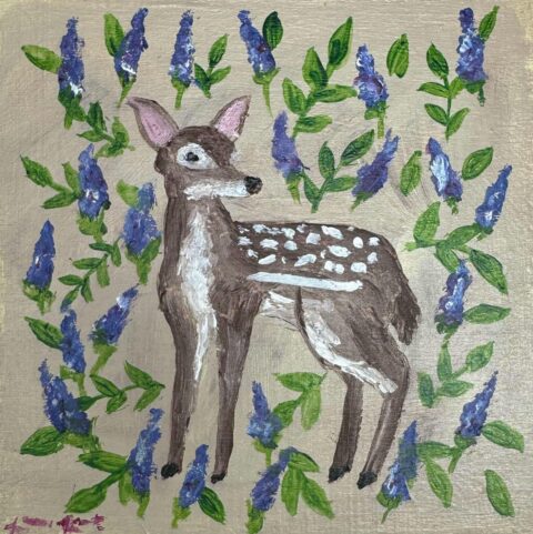 Fawn
