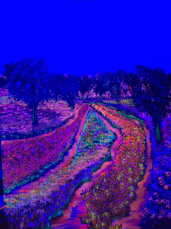Aimless - Image 2