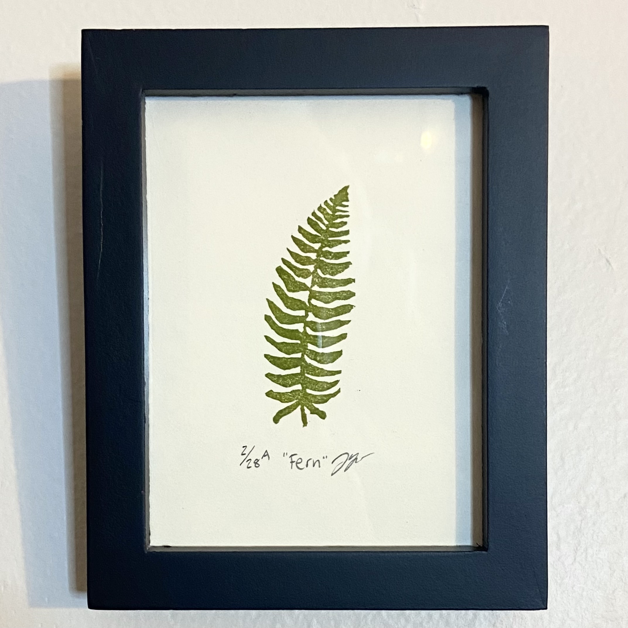 Fern