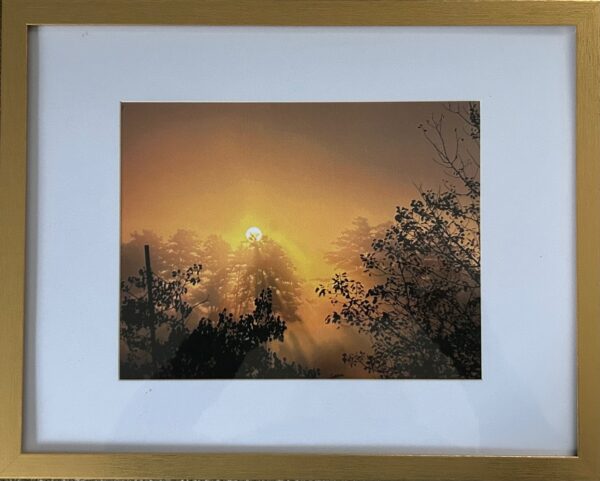 Foggy Sunrise