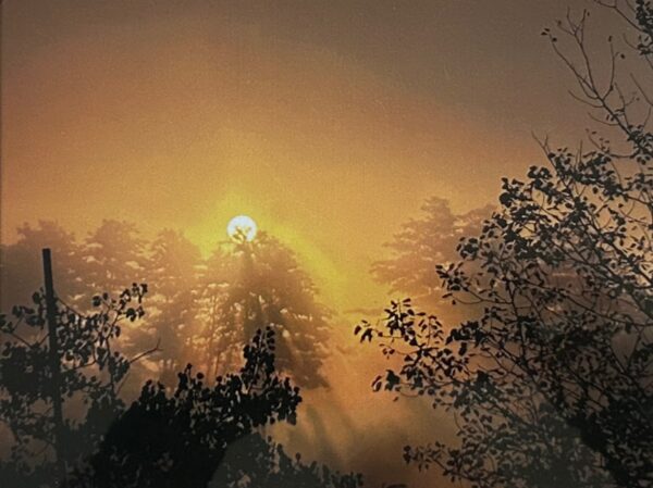Foggy Sunrise - Image 2