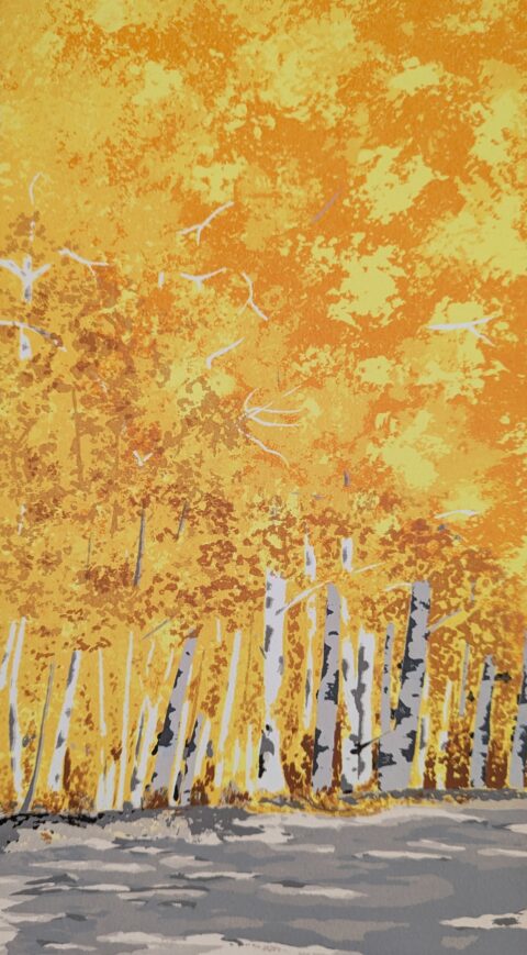 Nature's Palette