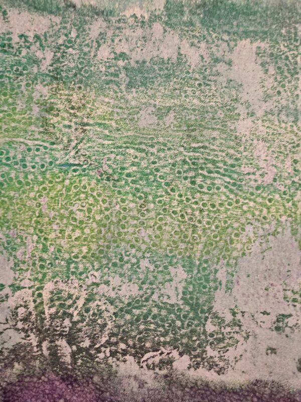 Coral Reef - Image 4